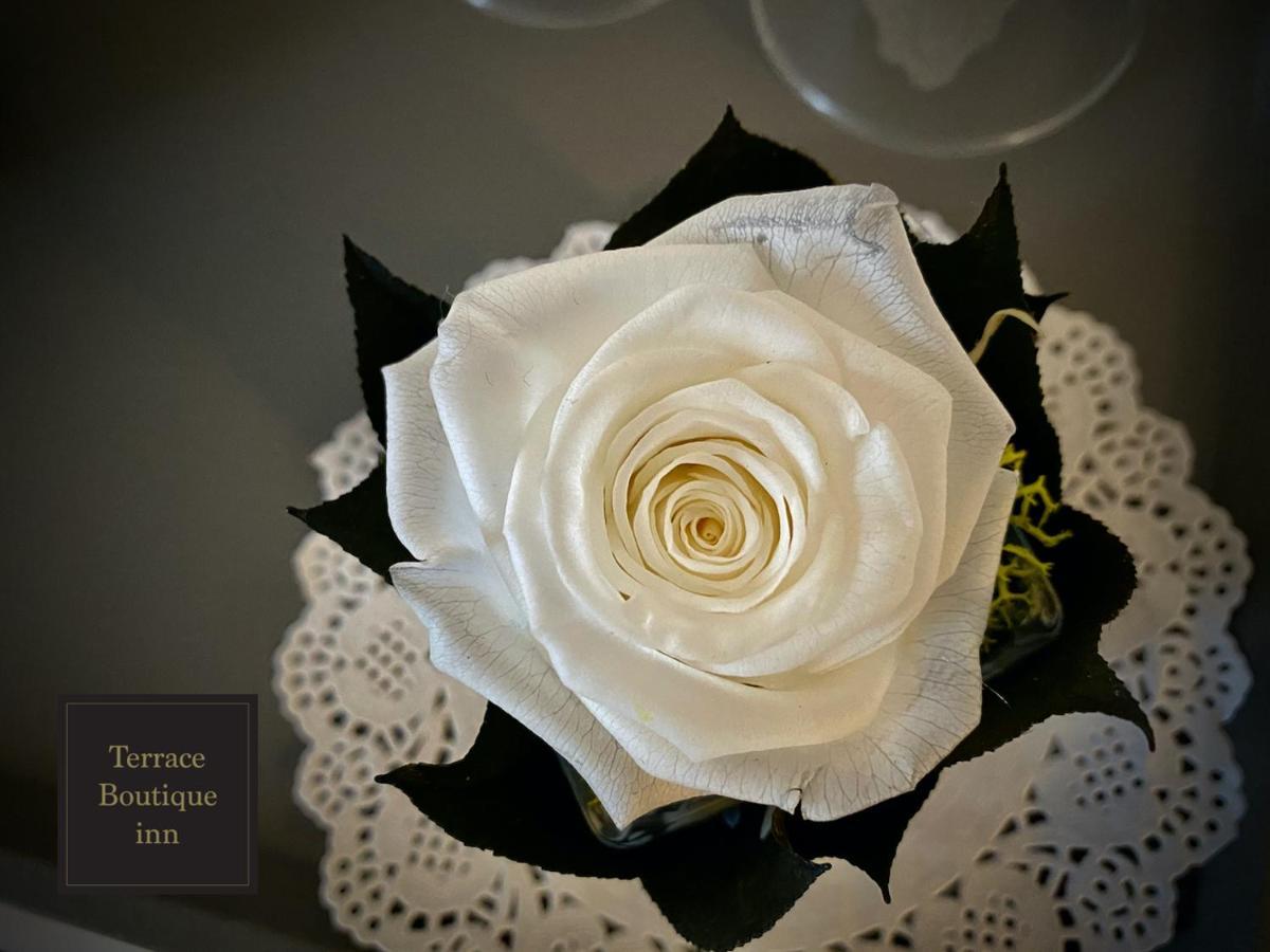 Casa de hóspedes Terrace Boutique *